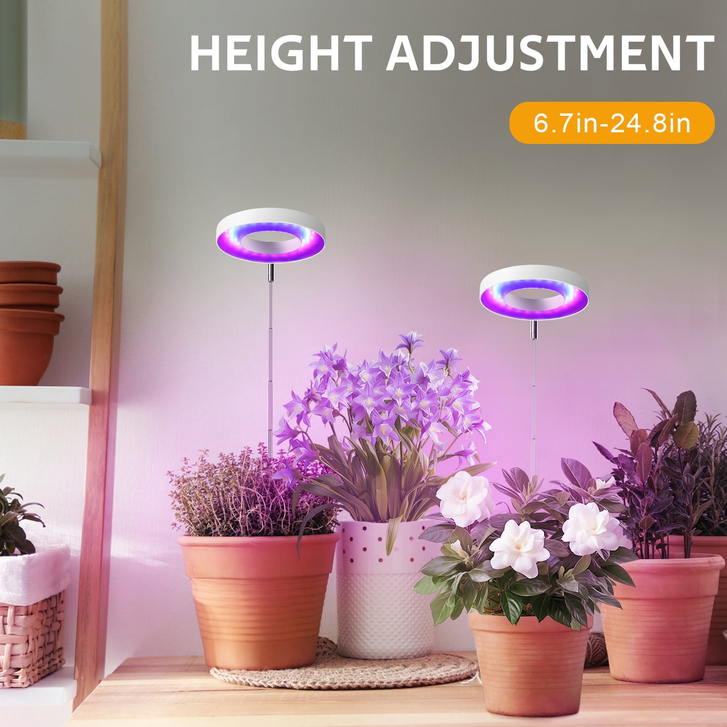 Grow Light, Full Spectrum LED Plant Light for Indoor Plants, Height Adjustable Growing Lamp with Auto On/Off Timer 3/9/12H, 3 Dimmable Brightness, Ideal for Small Plants