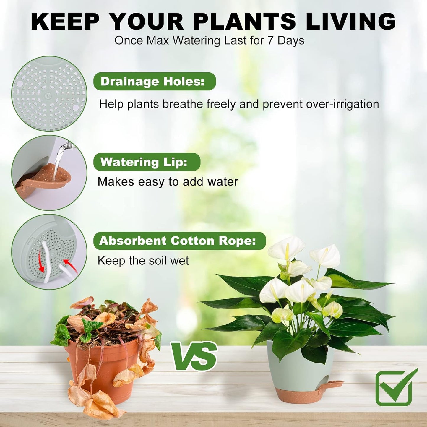 Plant Pots Indoor 7/6.5/6/5.5/5 Inch, Self Watering Planters for Indoor Plants with Drainage Hole, 6 Pots