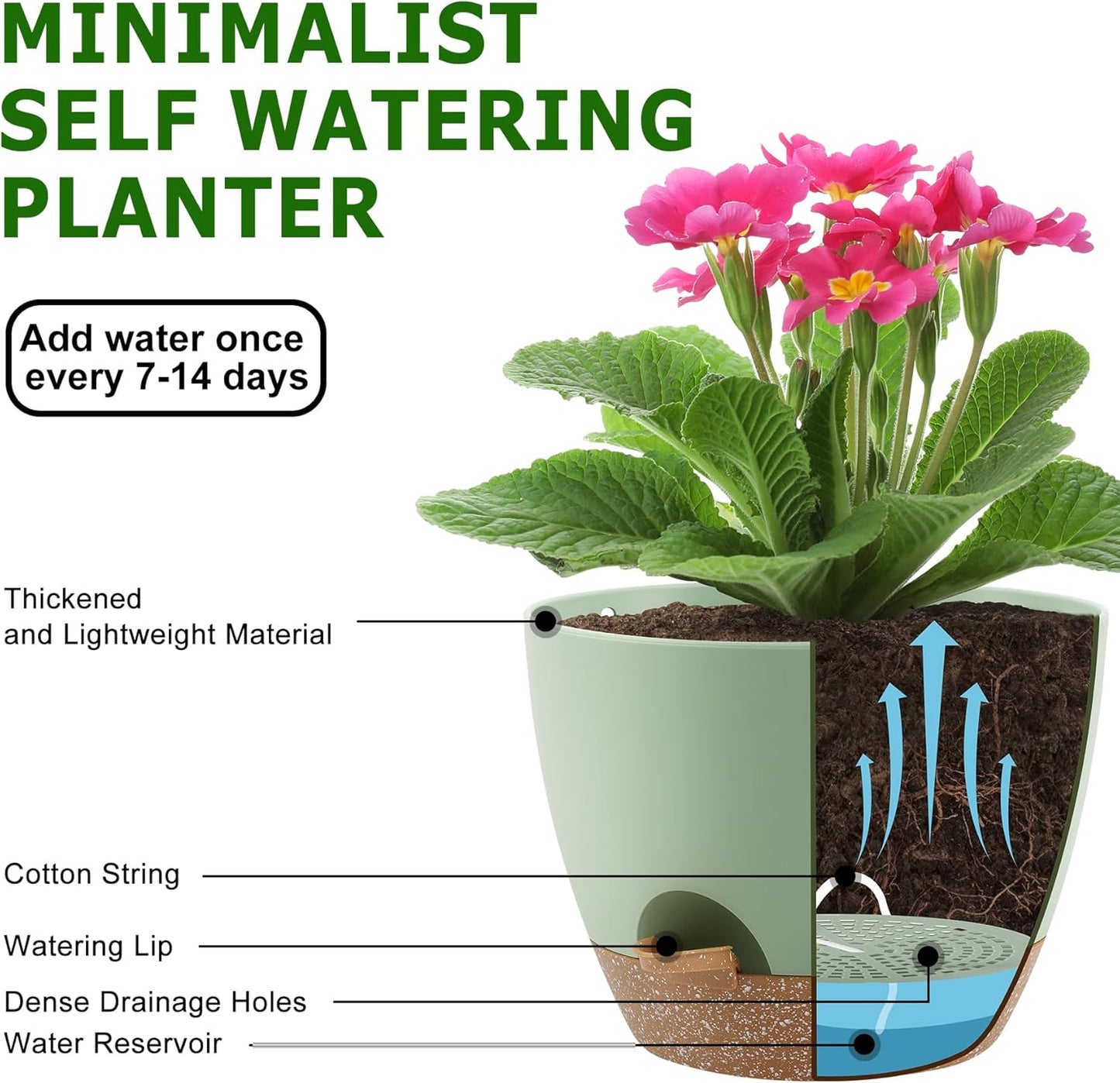 Plant Pots Indoor 7/6.5/6/5.5/5 Inch, Self Watering Planters for Indoor Plants with Drainage Hole, 6 Pots